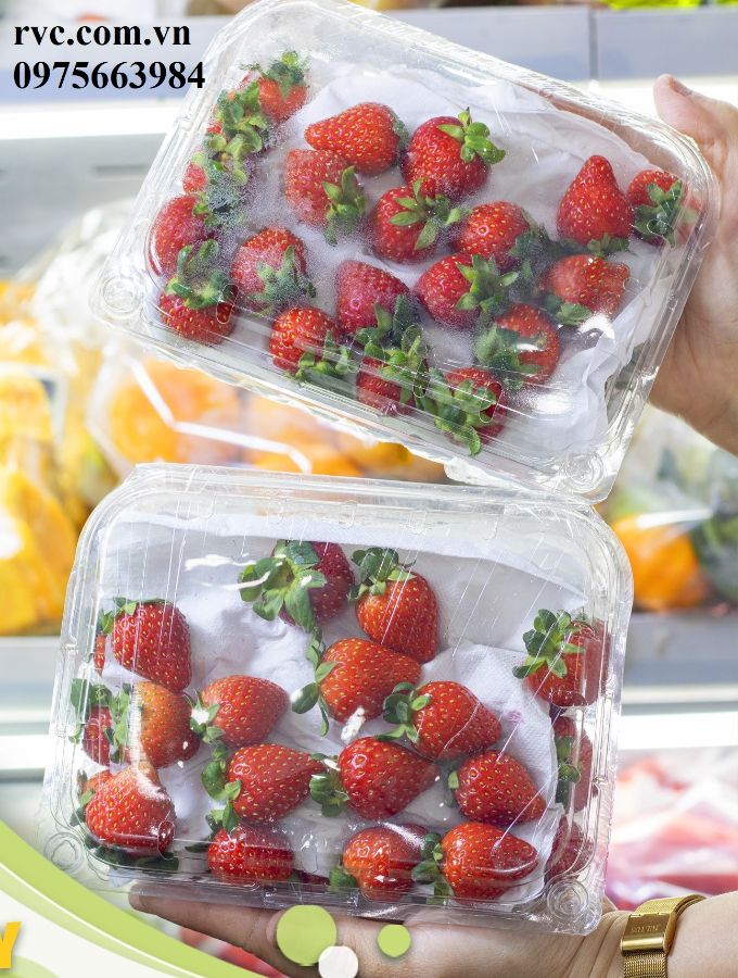 Top mẫu hộp nhựa trái cây 500g được ưa chuộng nhất 2024  Gal_378097_6583f96429847